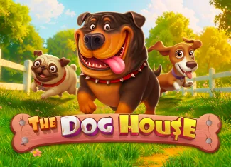 The Dog House Yüksek Kazanç İhtimalleri 2026
